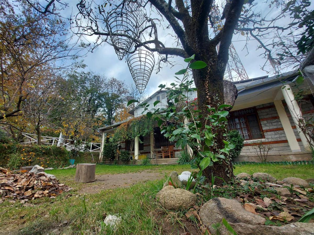 Mars Monkey Hostel & Cafe Manāli エクステリア 写真