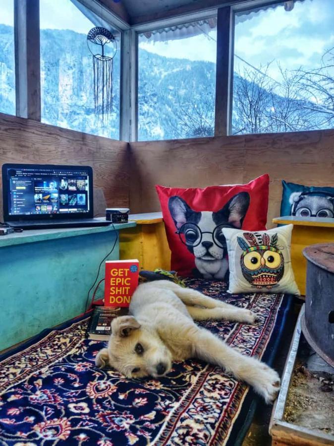 Mars Monkey Hostel & Cafe Manāli エクステリア 写真