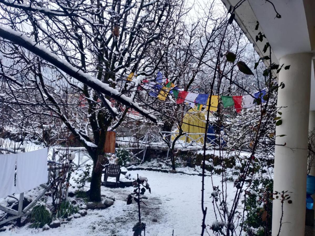 Mars Monkey Hostel & Cafe Manāli エクステリア 写真