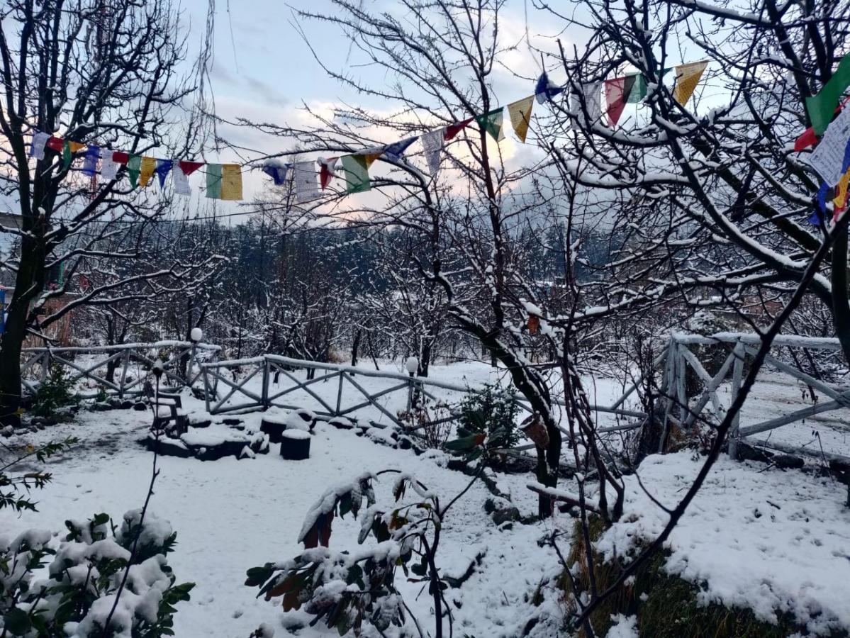 Mars Monkey Hostel & Cafe Manāli エクステリア 写真