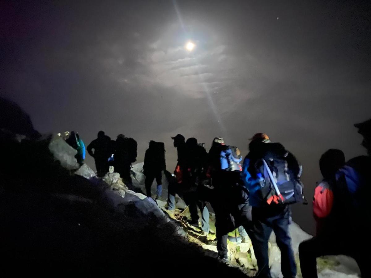 Mars Monkey Hostel & Cafe Manāli エクステリア 写真